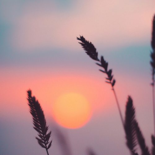 ‘Ik maak bekent, dat het leven is ten ent’ 100 jaar De laatste eer