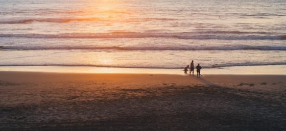 michal-pechardo-L8P6PZ4jKyw-unsplash